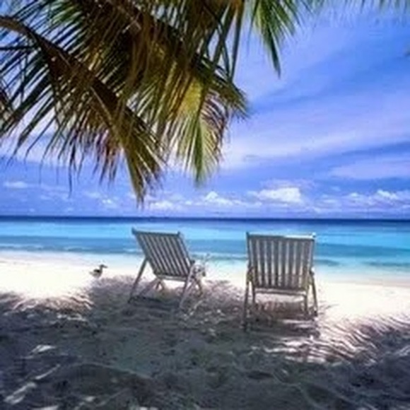 Meet your Posher, Sarah - Picture 1 of 1